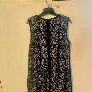 Loft lace dress